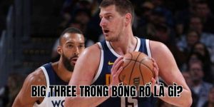 Big Three Trong Bóng Rổ Là Gì? Khái Niệm Và Vai Trò Cụ Thể