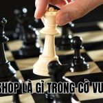 Bishop Là Gì Trong Cờ Vua? Tất Tần Tật Về Quân Tượng