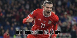 BLĐ Trong Bóng Đá Là Gì? Vai Trò Và Ảnh Hưởng Của Họ Ra Sao?