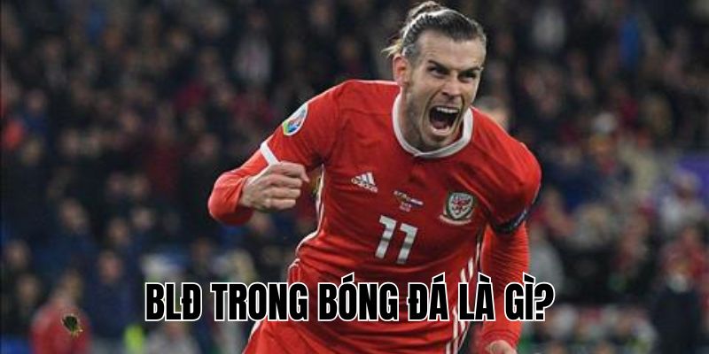 BLĐ Trong Bóng Đá Là Gì? Vai Trò Và Ảnh Hưởng Của Họ Ra Sao?