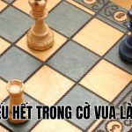 Chiếu Hết Trong Cờ Vua Là Gì? Hiểu Rõ Để Chơi Giỏi Hơn