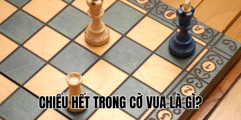 Chiếu Hết Trong Cờ Vua Là Gì? Hiểu Rõ Để Chơi Giỏi Hơn