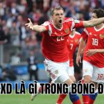 CXD Là Gì Trong Bóng Đá? Ý Nghĩa Và Cách Hiểu Chính Xác