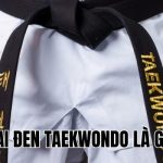 Đai Đen Taekwondo Là Gì? Ý Nghĩa và Những Điều Cần Biết