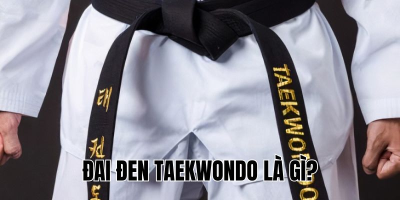 Đai Đen Taekwondo Là Gì? Ý Nghĩa và Những Điều Cần Biết