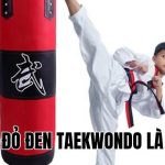 Đai Đỏ Đen Taekwondo Là Gì? Ý Nghĩa Và Cách Phân Biệt Rõ Nhất