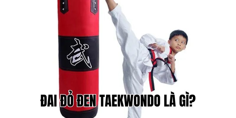Đai Đỏ Đen Taekwondo Là Gì? Ý Nghĩa Và Cách Phân Biệt Rõ Nhất