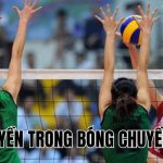 Đối Chuyền Trong Bóng Chuyền Là Gì? Vai Trò và Nhiệm Vụ Chính