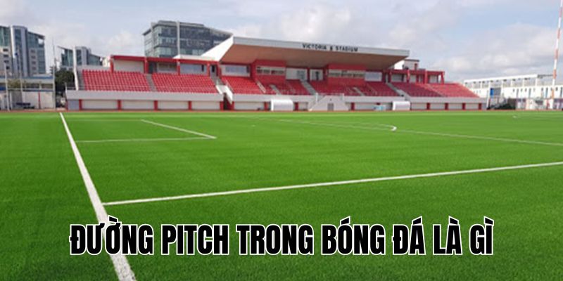 Đường Pitch Trong Bóng Đá Là Gì? Giải Thích Chi Tiết & Dễ Hiểu