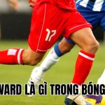 Forward Là Gì Trong Bóng Đá? Hiểu Rõ Để Chơi Tốt Hơn!