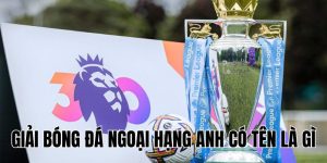 Giải Bóng Đá Ngoại Hạng Anh Có Tên Là Gì? Giải Đáp Ngay!