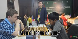 IM Là Gì Trong Cờ Vua? Tìm Hiểu Ngay Danh Hiệu IM Cờ Vua
