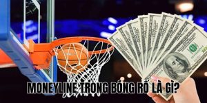 Moneyline Trong Bóng Rổ Là Gì? Hướng Dẫn Chi Tiết Từ BrandonAly