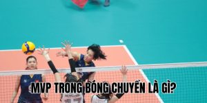 MVP Trong Bóng Chuyền Là Gì? Tất Cả Những Điều Bạn Cần Biết