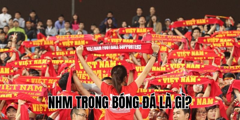 NHM Trong Bóng Đá Là Gì? Ý Nghĩa Và Vai Trò Của NHM Hiện Nay