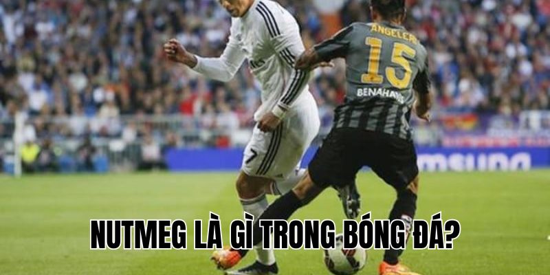 Nutmeg Là Gì Trong Bóng Đá? Cách Thực Hiện Kỹ Thuật Nutmeg