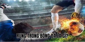 Rung Trong Bóng Đá Là Gì? Cách Đánh Rung Hiệu Quả Nhất 2025