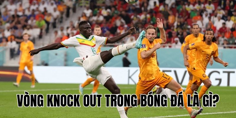 Vòng Knock Out Trong Bóng Đá Là Gì? Thể Thức Và Cách Tính Điểm