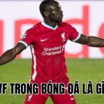 WF Trong Bóng Đá Là Gì? Vai Trò Và Nhiệm Vụ Cụ Thể Của WF