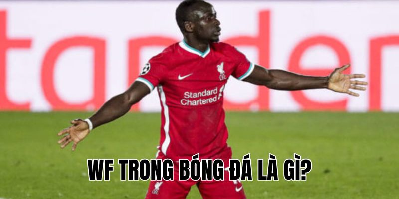 WF Trong Bóng Đá Là Gì? Vai Trò Và Nhiệm Vụ Cụ Thể Của WF